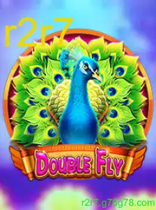 DoubleFly: Tudo Sobre o Novo Sensação do Mundo dos Jogos